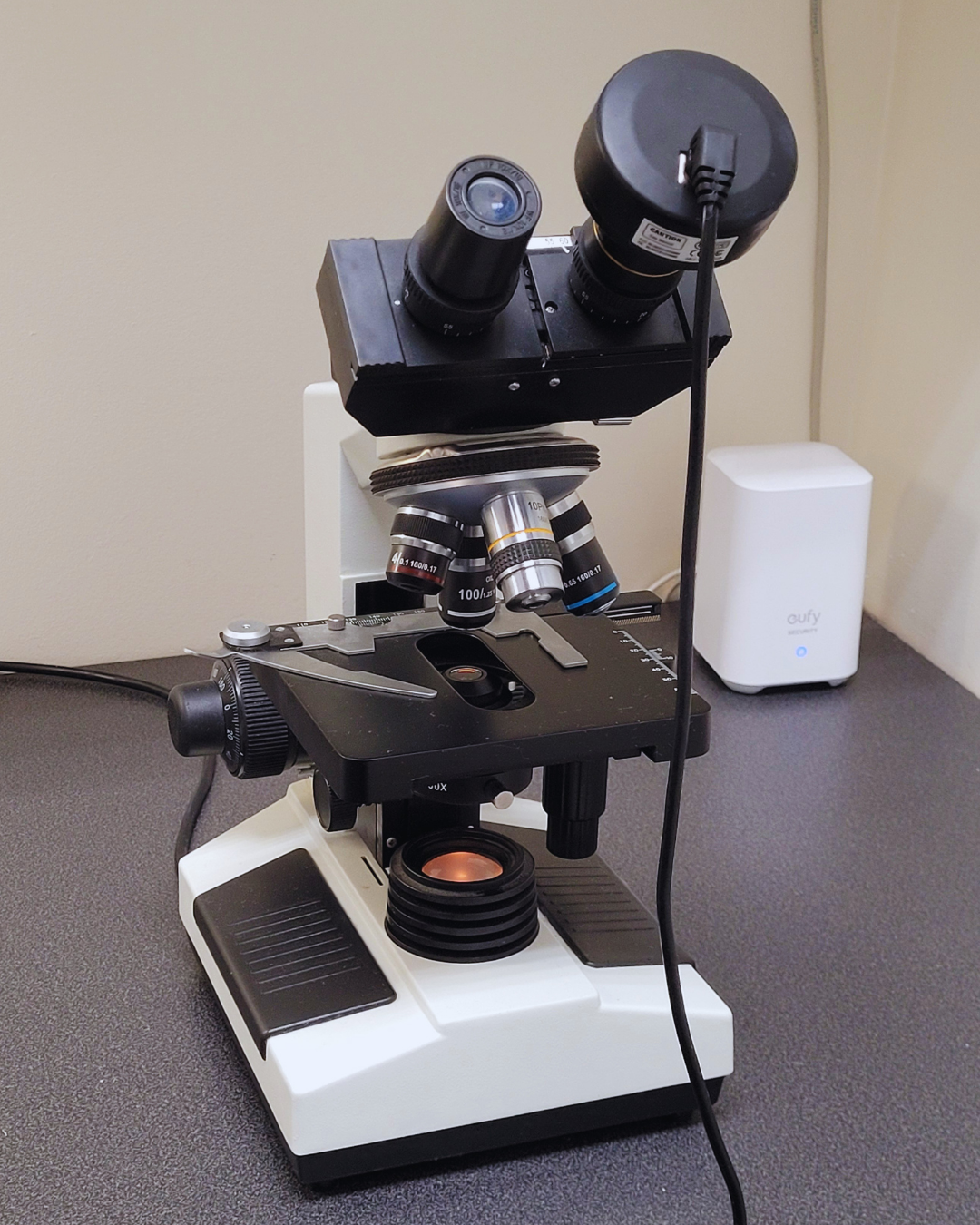 Our Microscope