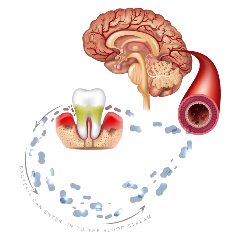 8 Key Biological Features